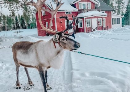 Lapplandreise mit Baby